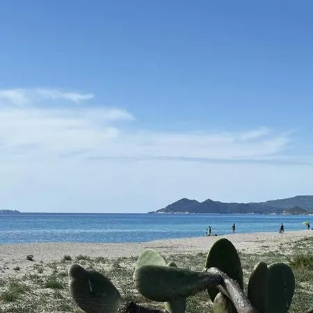 Dorata * Costa Rei